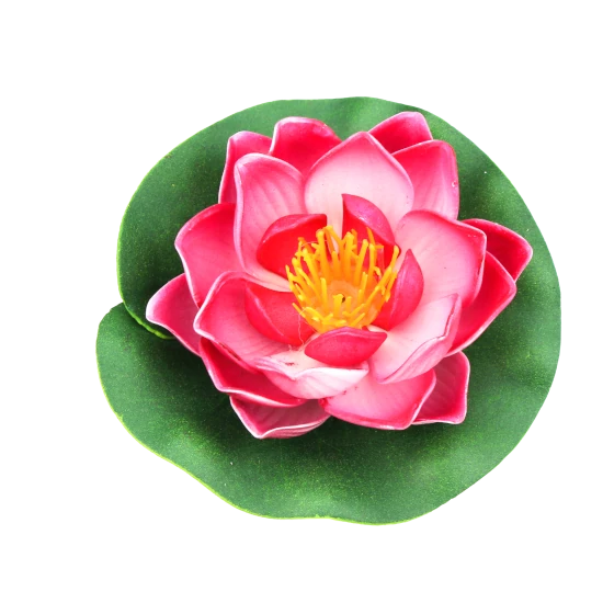 Ilustração decorativa de planta no cabeçalho do perfil